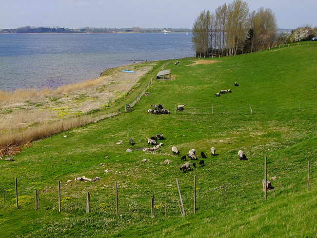 image/faar-114.jpg