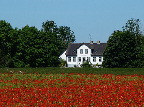 image/_gaard_landskab-27.jpg