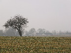 image/_gaard_landskab-8357.jpg