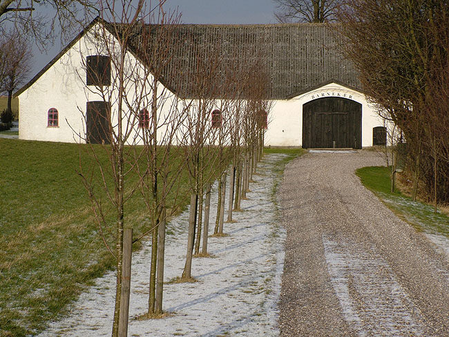 image/barnekaergaard-03.jpg