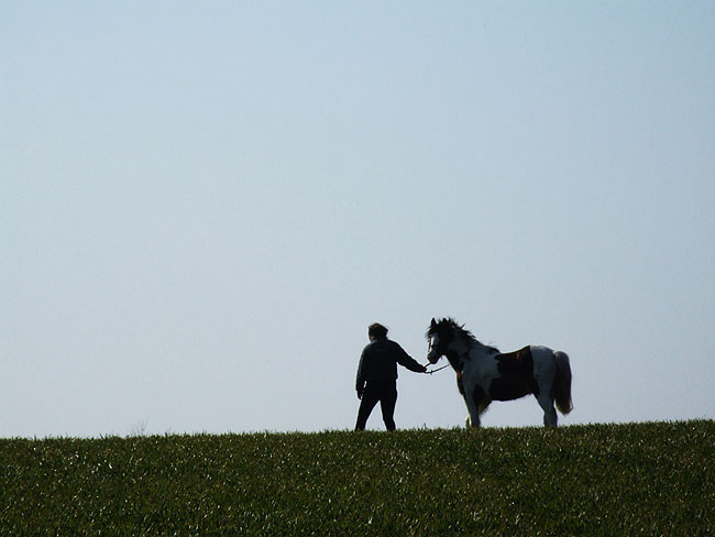 image/hest-03.jpg