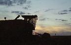 image/_mejetaersker_solnedgang-4.jpg