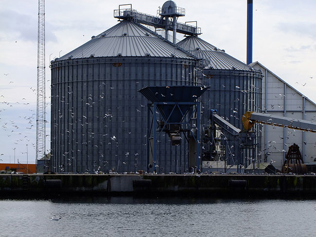 image/aarhus_havn-318.jpg