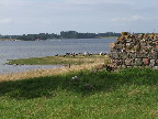 image/_kirkeruin_eskilsoe-47.jpg