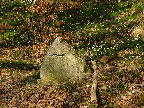 image/_farum_soe_stien-881.jpg
