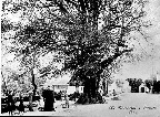 image/_gl_billede_fra-farum-01.jpg