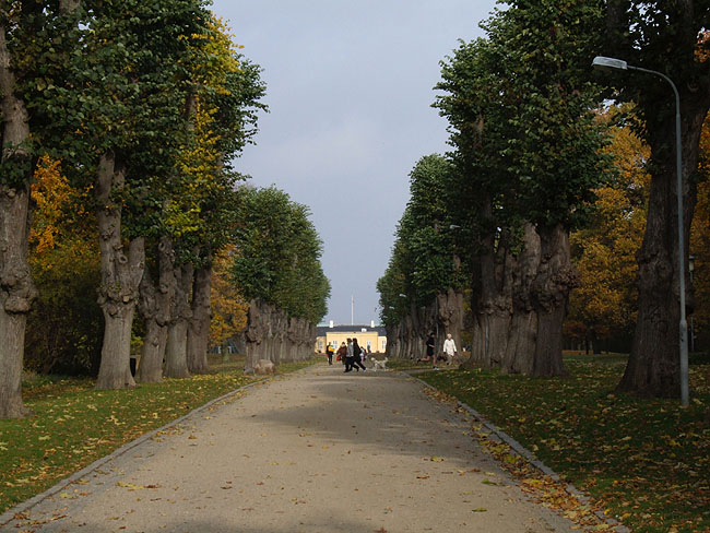 image/soendermarken-65.jpg