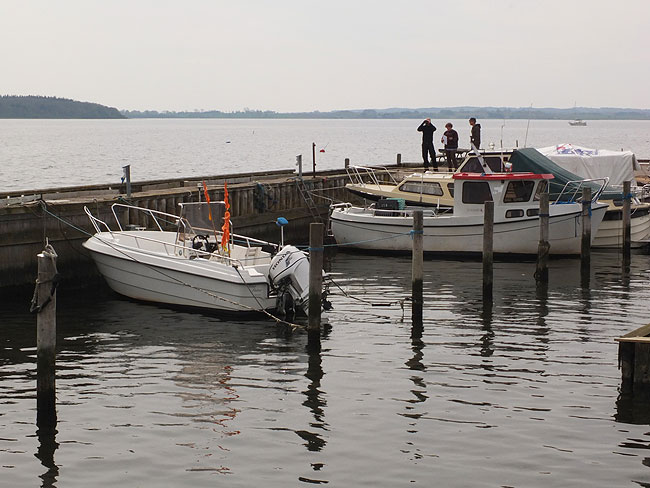 image/gershoej_havn-8396.jpg