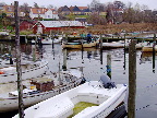 image/_jyllinge_havn-095.jpg