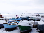 image/_jyllinge_havn-134.jpg