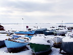 image/_jyllinge_havn-135.jpg