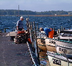 image/_jyllinge_havn-17.jpg