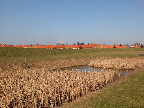 image/_regnvandsbassin-145.jpg