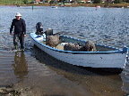 image/_sejle_faar-76.jpg