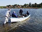 image/_sejle_faar-81.jpg