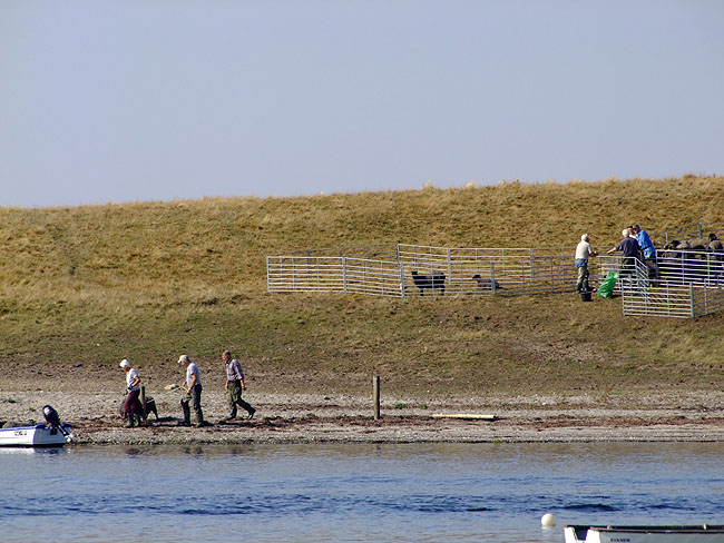image/faarene_paa_lilleoe-269.jpg