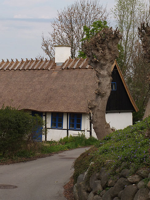image/jyllinge-714.jpg