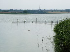 image/_kattinge_soe-06.jpg