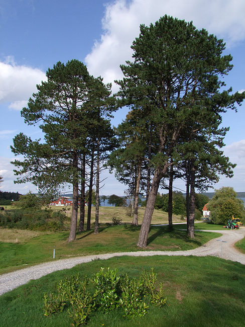 image/kellers_park_vejle-01.jpg