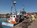 image/_klintholm_havn-331.jpg