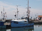 image/_klintholm_havn-332.jpg