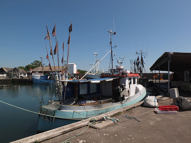 image/klintholm_havn-326.jpg