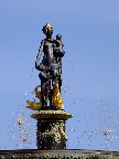 image/_guldaebler-423.jpg
