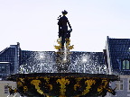 image/_guldaebler-426.jpg