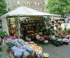image/_kbh._blomsterbod-61.jpg