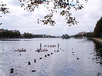 image/_soerne_koebenhavn-54.jpg
