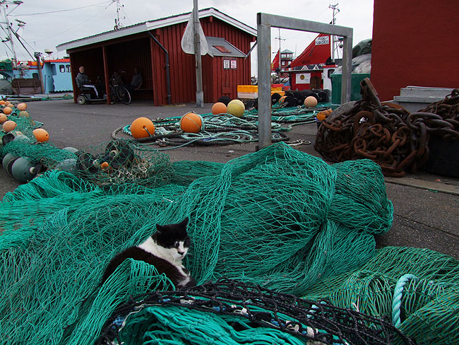 image/bagenkop_havn-218.jpg