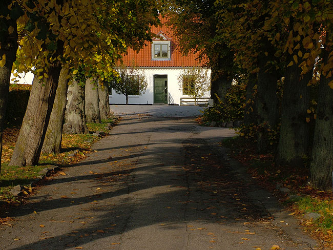image/gaard_ledoeje-53.jpg