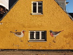 image/_taarbaek-4077.jpg