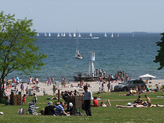 image/bellevue-17.jpg