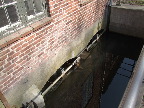 image/_fuglevad-72.jpg