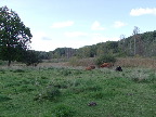 image/_moelleaadalen-72.jpg