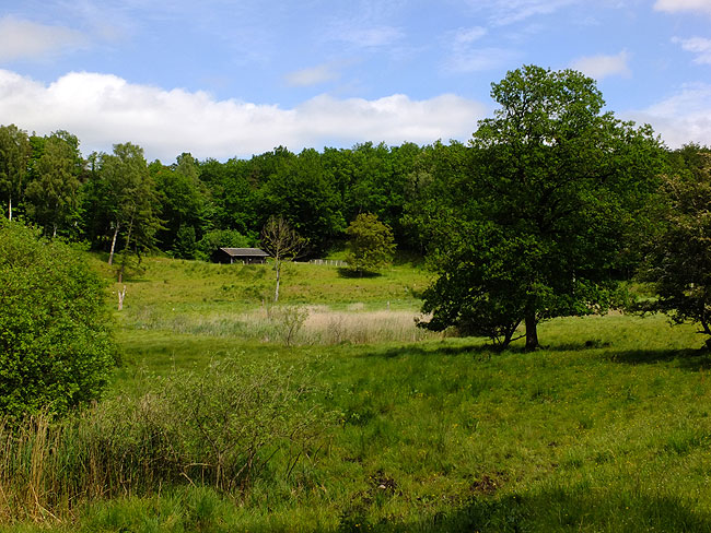 image/moelleaadalen-9184.jpg