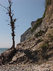 image/_moens_klint-256.jpg