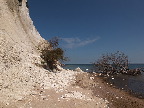 image/_moens_klint-272.jpg