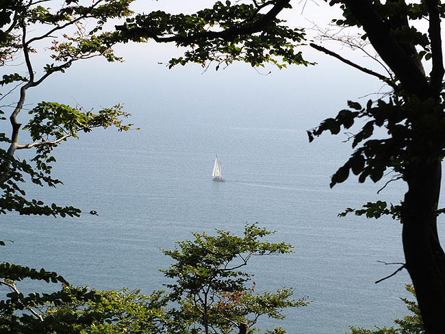 image/moens_klint-194.jpg