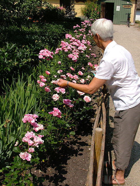 image/pederstrup-22.jpg