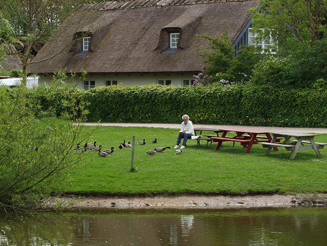 image/pederstrup-513.jpg
