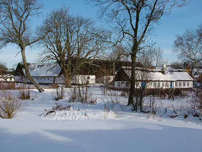 image/pederstrup_vinter-16.jpg