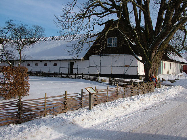 image/pederstrup_vinter-28.jpg