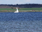 image/_roskilde-19.jpg