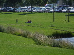 image/_roskilde-20.jpg