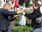 image/_torvedag-23.jpg