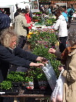 image/_torvedag-25.jpg