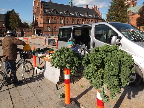 image/_torvedag-3575.jpg