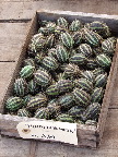 image/_torvedag-42.jpg